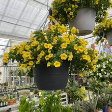 Load image into Gallery viewer, 10” Calibrachoa Hanger